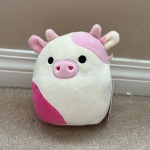 Caedyn Squishmallow 5inch